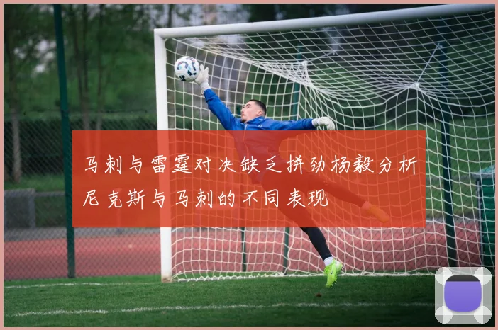 马刺与雷霆对决缺乏拼劲杨毅分析尼克斯与马刺的不同表现