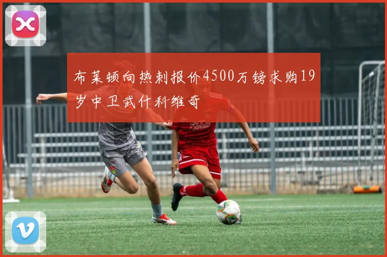 布莱顿向热刺报价4500万镑求购19岁中卫武什科维奇
